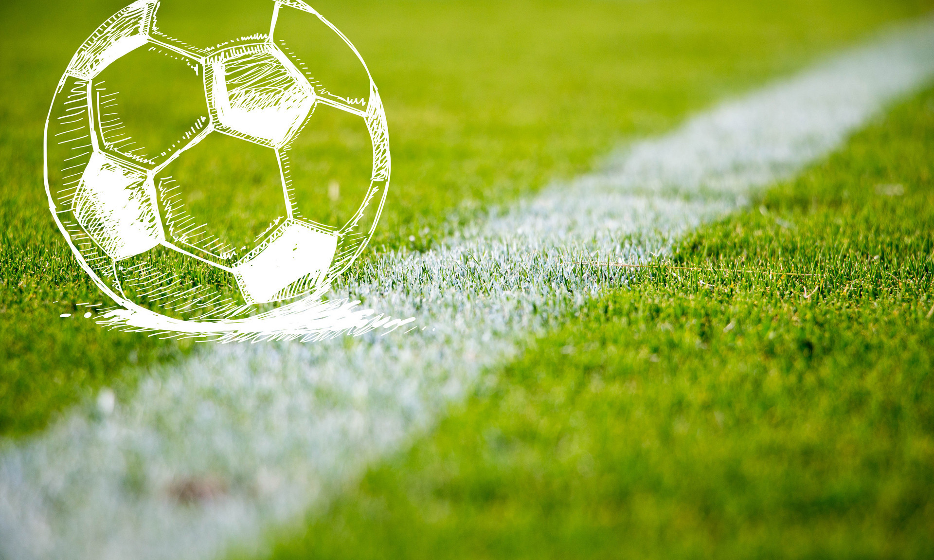 这再次证明 这再次证明