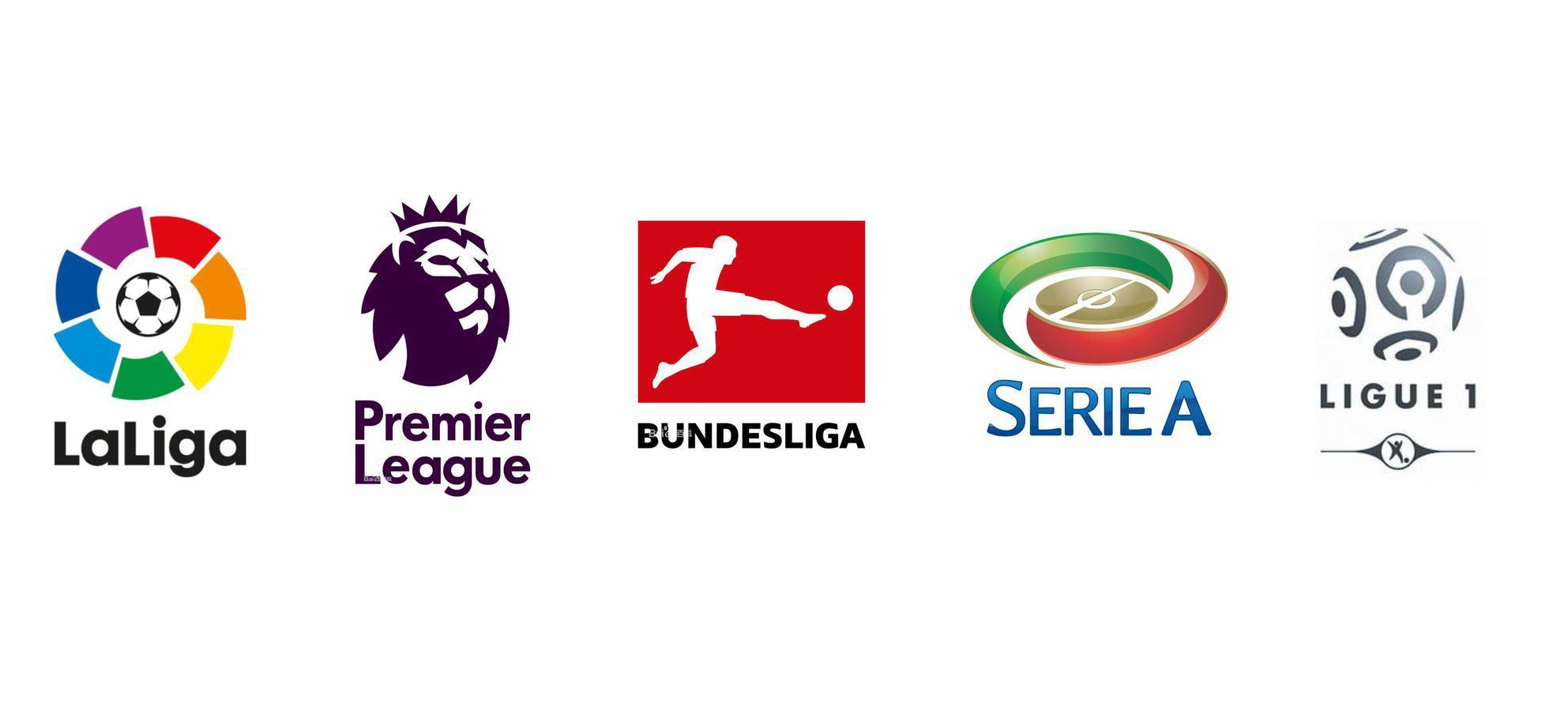 渐向青岛队 渐向青岛队