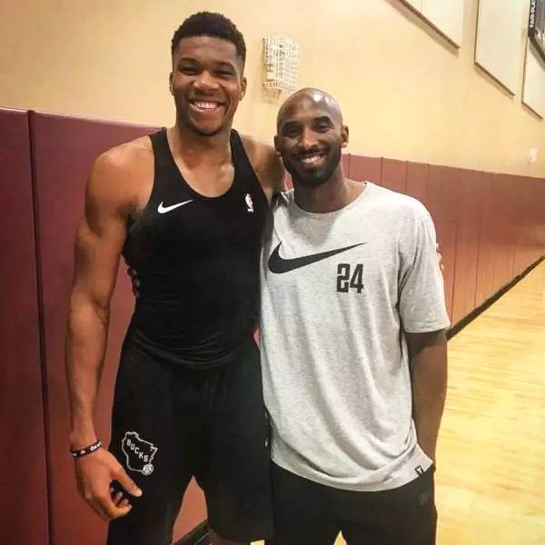 洲杯的球员 洲杯的球员